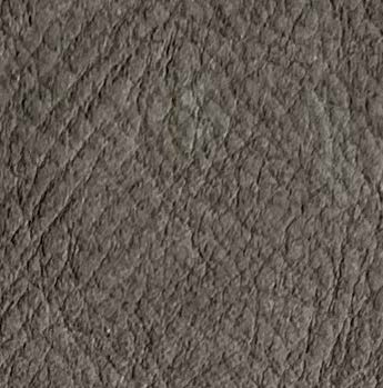 Swatch image for Amur taupe 016